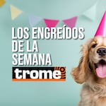 ¡Imposible no amarlos! Estos son los engreídos que conquistaron Trome esta semana