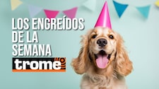 ¡Imposible no amarlos! Estos son los engreídos que conquistaron Trome esta semana