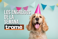 ¡Imposible no amarlos! Estos son los engreídos que conquistaron Trome esta semana