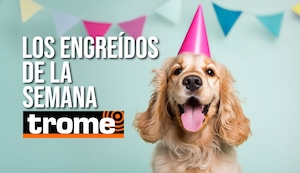 ¡Imposible no amarlos! Estos son los engreídos que conquistaron Trome esta semana