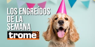 ¡Alto en dosis de ternura! Conoce a los engreídos de Trome de la semana. Foto: Istock.