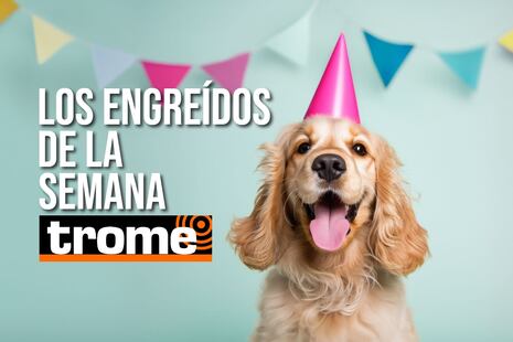 ¡Imposible no amarlos! Estos son los engreídos que conquistaron Trome esta semana