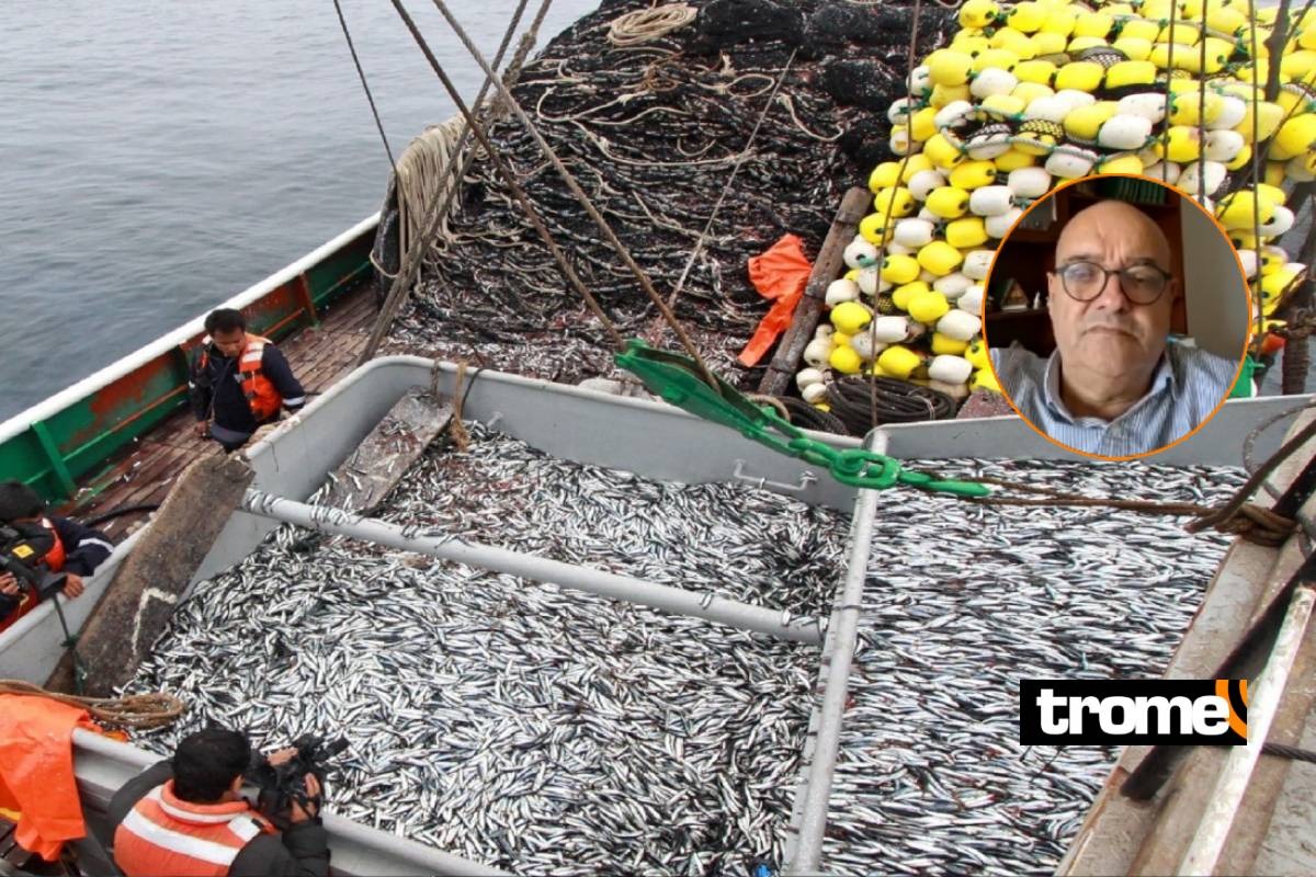 Experto comparte su análisis sobre la crisis en el sector pesquero, las acciones que afronta el Gobierno y medidas para mitigar su impacto por cancelación de primera temporada de pesca de anchoveta.