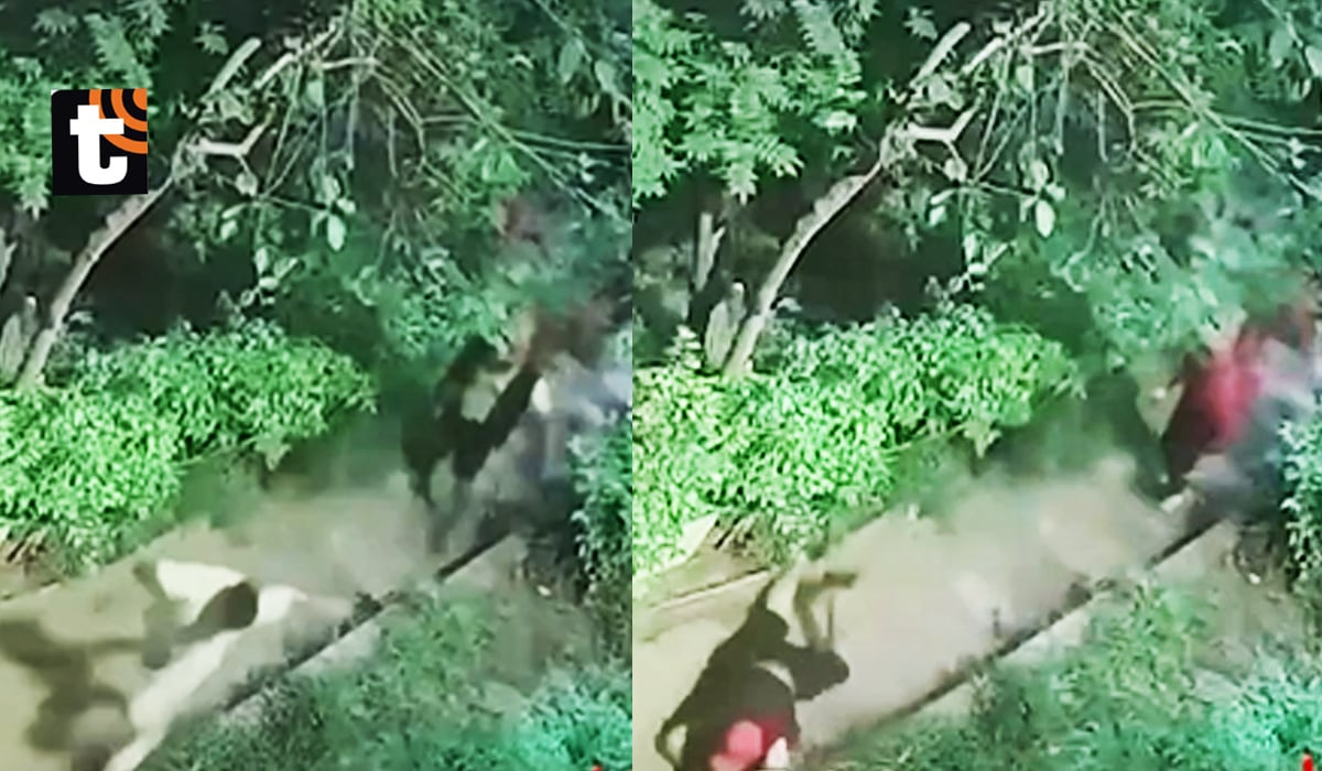 ¡Lluvia de balas en parque de SJM! Cámara capta intento de asesinato, sicario disparó 8 veces contra dos hombres
