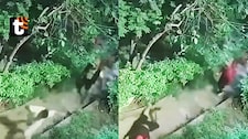¡Lluvia de balas en parque de SJM! Cámara capta violento intento de asesinato de sicario contra dos hombres