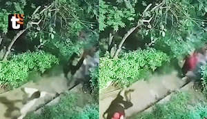 ¡Lluvia de balas en parque de SJM! Cámara capta violento intento de asesinato de sicario contra dos hombres