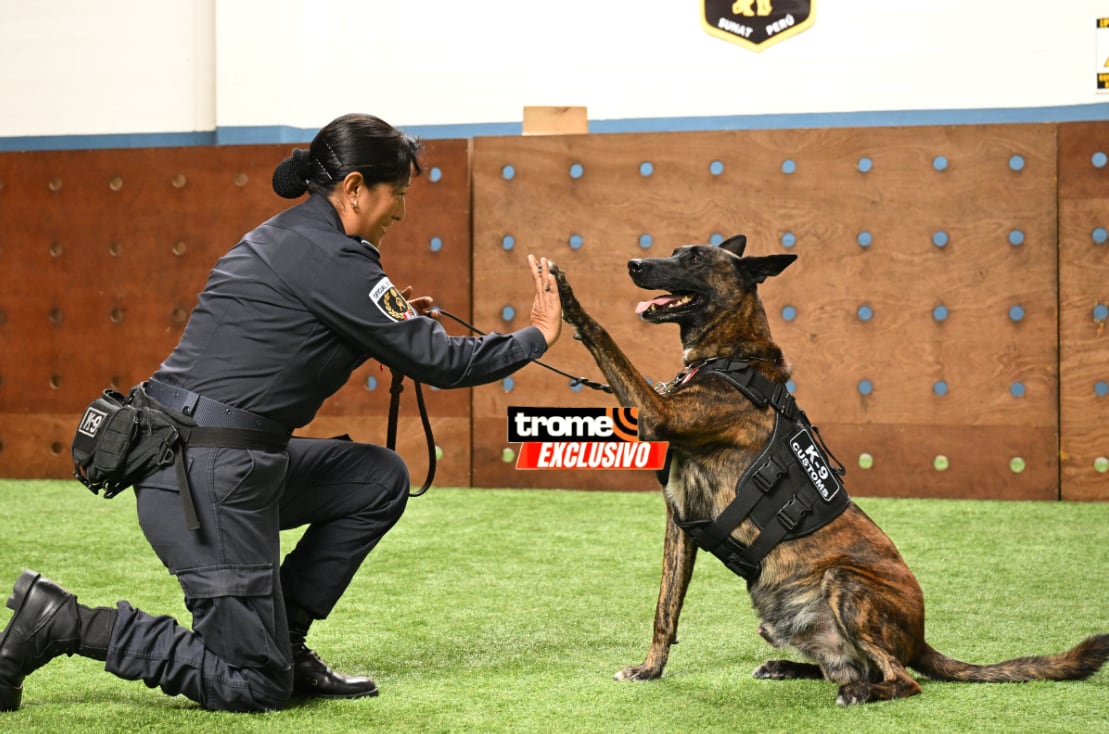Canes K-9 Sunat y oficiales aduaneros trabajan juntos en servicio del país. (Entrevista: Isabel Medina / Trome).