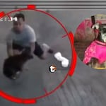 ¡Voló para salvar perrito! Joven atrapó en el aire a ‘Pelusa’ y se convirtió en héroe en El Agustino