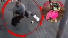 ¡Voló para salvar perrito! Joven atrapó en el aire a ‘Pelusa’ y se convirtió en héroe en El Agustino