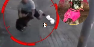 Hombre se lanza y salva a perrita de caer desde un tercer piso