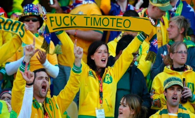 El Oso Paddington se hizo tendencia luego que se confirmase el Perú vs Australia. Foto: Captura.