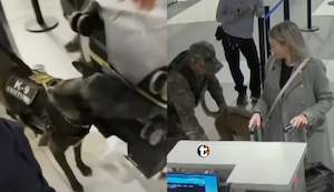 ¡Perros capturan narcos! 24 burriers cayeron en solo tres meses en el nuevo Jorge Chávez