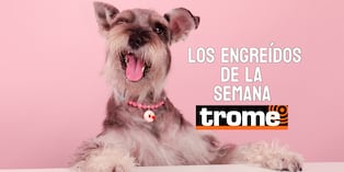 Engreídos Trome de la semana. Foto: composición/Istock