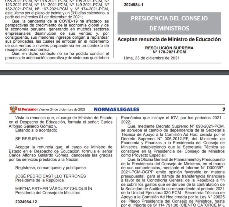 Carlos Gallardo renunció como ministro de Educación.