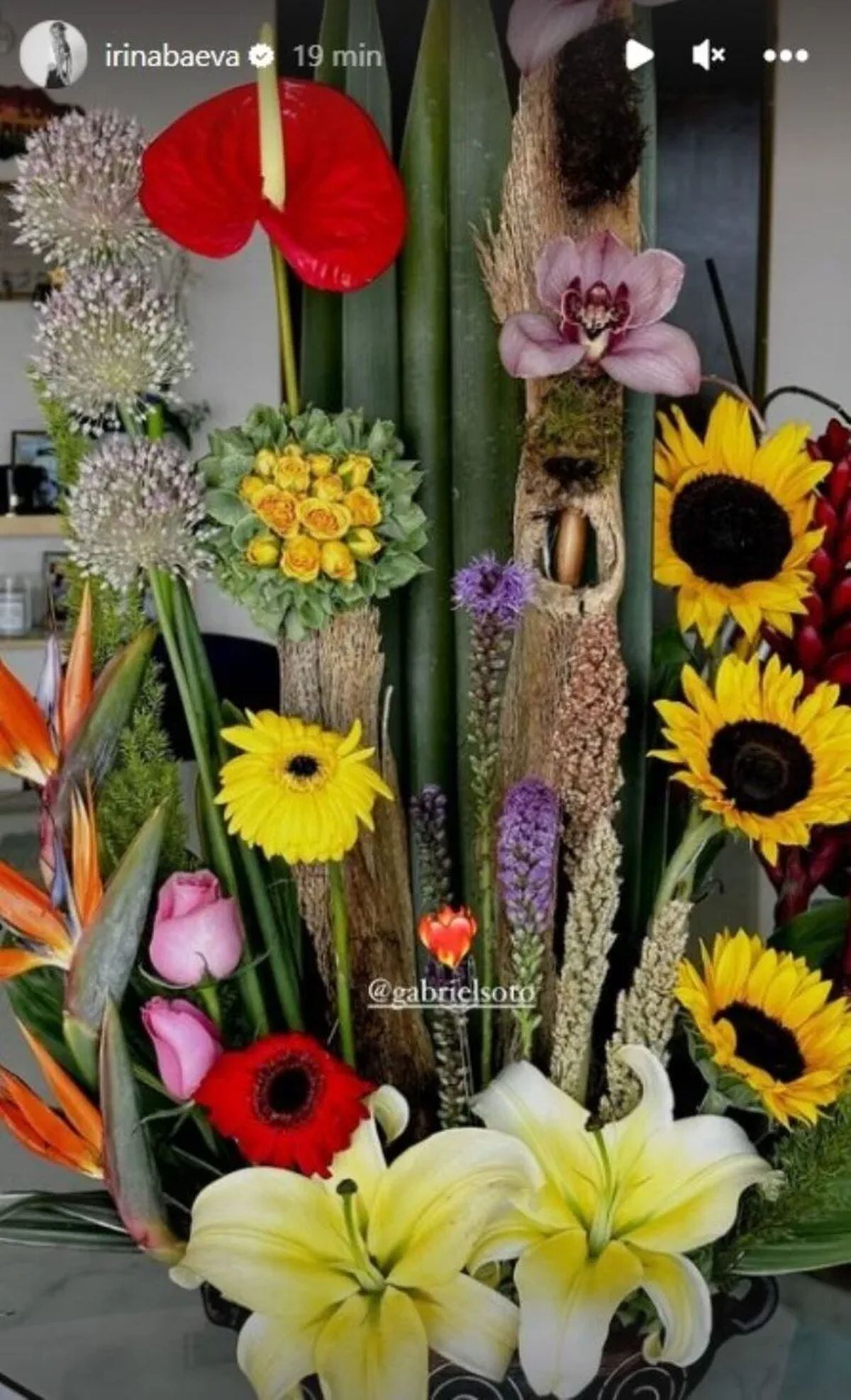 La "storie" de Baeva con el regalo de Soto (Foto: Irina Baeva / Instagram)