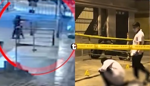 ¡Conmoción en San Juan de Lurigancho! Falsos delivery disparan a venezolano y matan a balazos a su perro