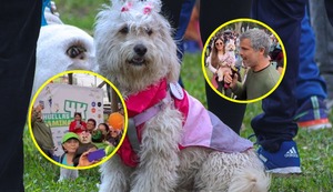 Así se vivió la caminata solidaria Huellas 4K en beneficio de perritos y gatitos abandonados