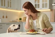 ¿Le das comida casera a tu perro? Descubre qué alimentos pueden hacerle daño