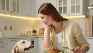 ¿Le das comida casera a tu perro? Descubre qué alimentos pueden hacerle daño