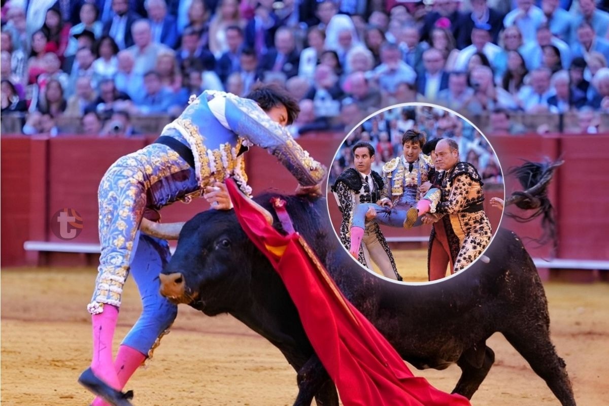 Andrés Roca Rey sufre cogida de toro en Sevilla (Foto: @Mundo toro.com)