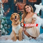 Conoce a Gia, la golden retriever que conquista las redes con su ternura y travesuras