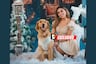Conoce a Gia, la golden retriever que conquista las redes con su ternura y travesuras