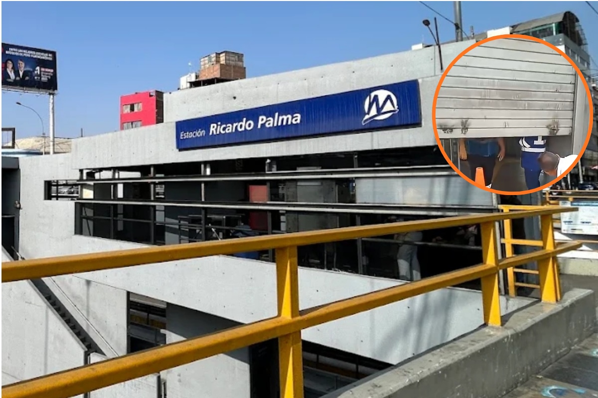 Estación Ricardo Palma del Metropolitano fue cerrada por presencia de abejas. (@gec/ pepito noticias)