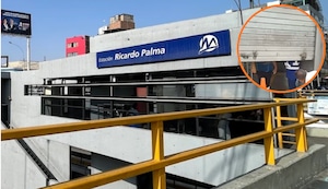 Estación Ricardo Palma del Metropolitano fue cerrada temporalmente por presencia de abejas