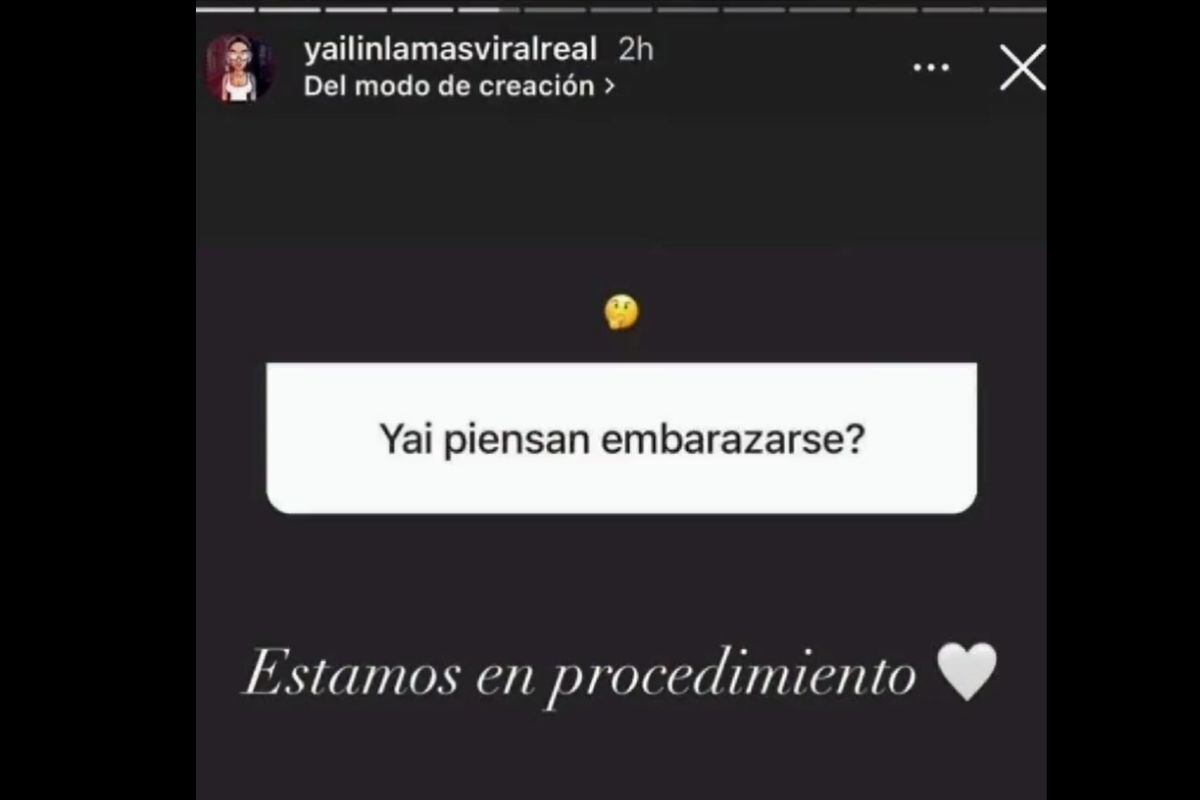 La artista reveló que busca quedar embarazada (Foto: Yailin la Más Viral / Captura de Instagram)
