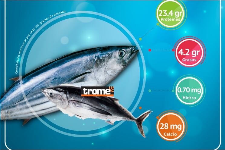 Crece el consumo de pescado y otros productos marinos por Semana Santa. El bonito es un 'pescado azul' y ofrece muchos beneficios para la salud. (Compos. Isabel Medina / Trome).