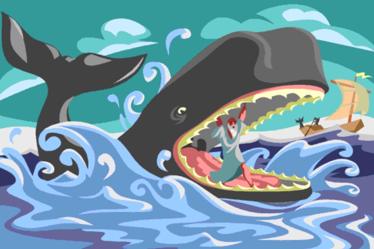 Kayakista fue expulsado vivo por una ballena igual que Jonás. Foto: Internet.