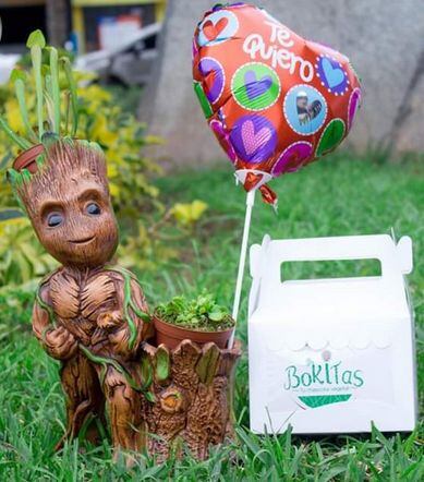 Muchas personas regalan 'Bokitas' en cumpleaños, aniversarios, Navidad y San Valentín. (Bokitas)