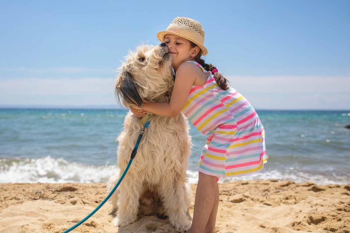 Sigue estas recomendaciones para cuidar la salud de tu mascota en la playa. Foto: Istock.