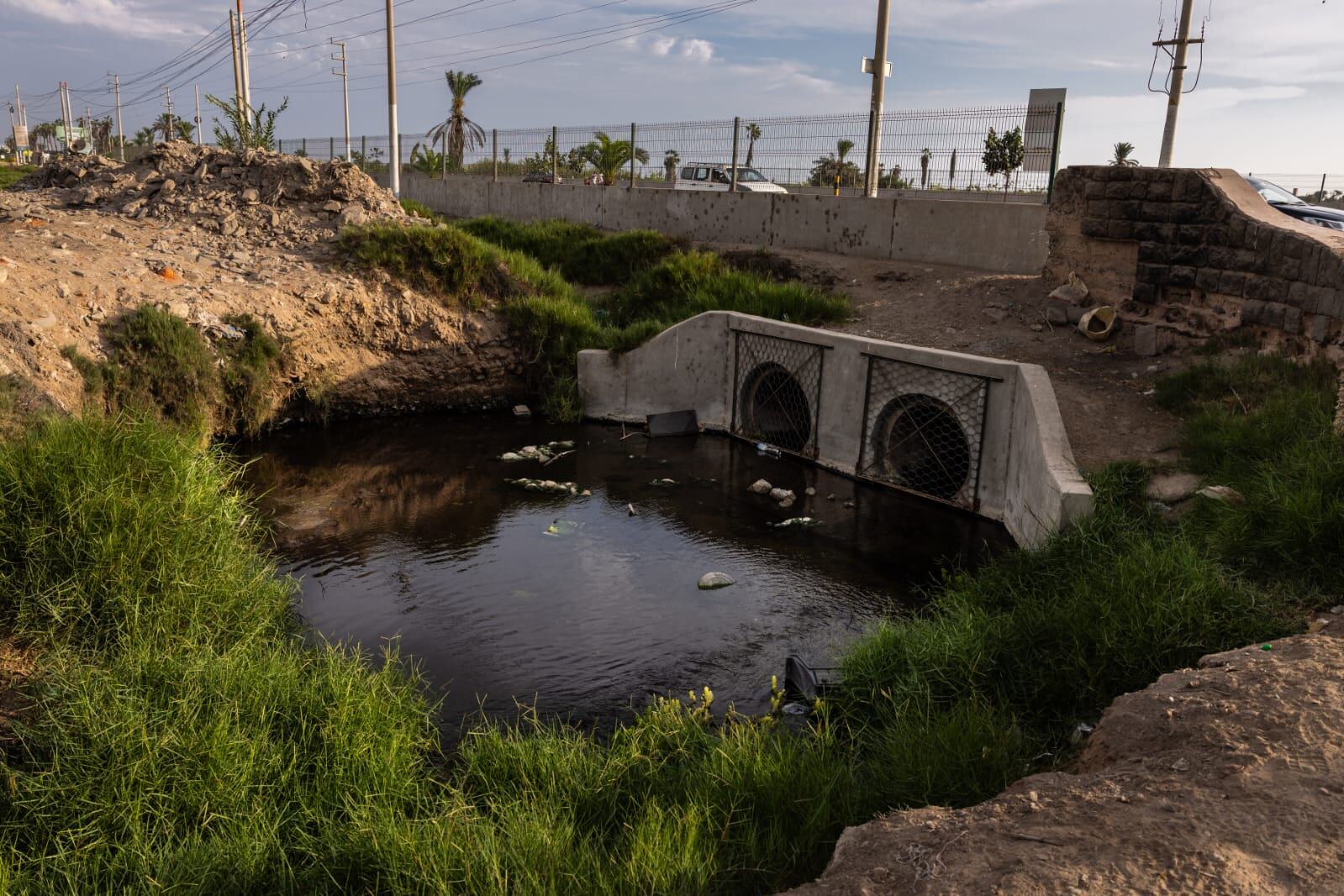 En Chorrillos, los Pantanos de Villa están amenazados por botaderos ilegales que contaminan el agua y ponen en peligro la biodiversidad.