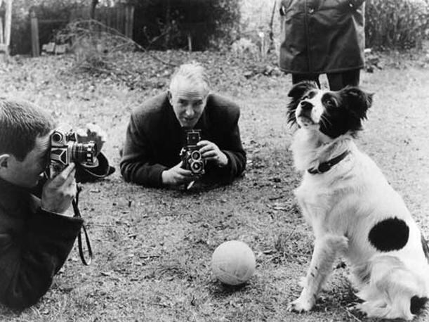 El perro Pickles se convirtió en héroe tras recuperar la Copa del Mundo que fue robada, poco antes del inicio del Mundial de Inglaterra 66. (Foto: Internet/Medios).
