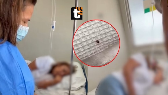 TROME - Garrapata es encontrada en camilla