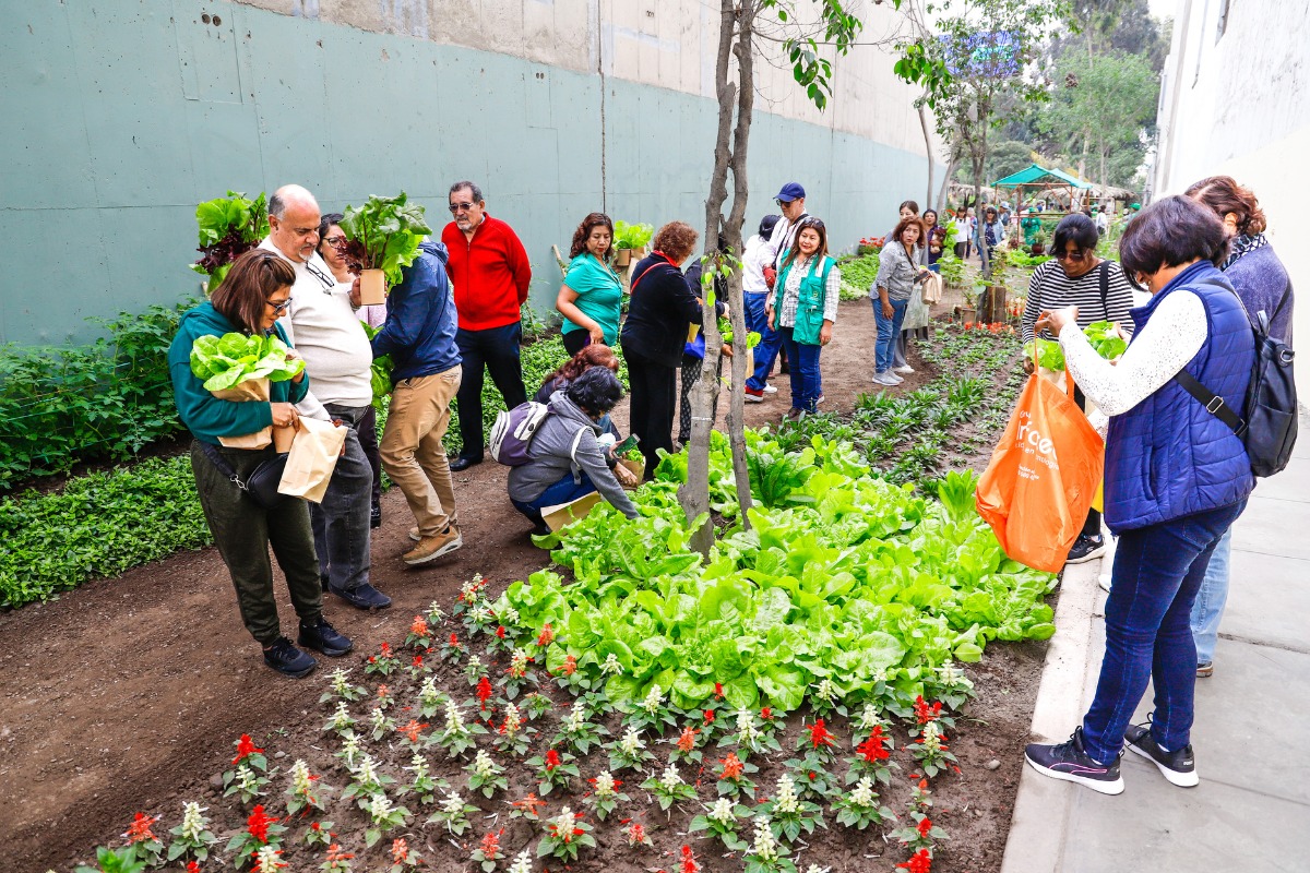 Por su acción climática en Perú