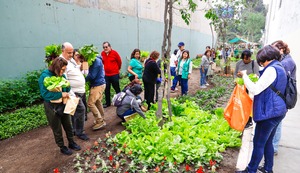 San Borja lidera acción climática en Perú como ganador del Desafío de Ciudades WWF 2024