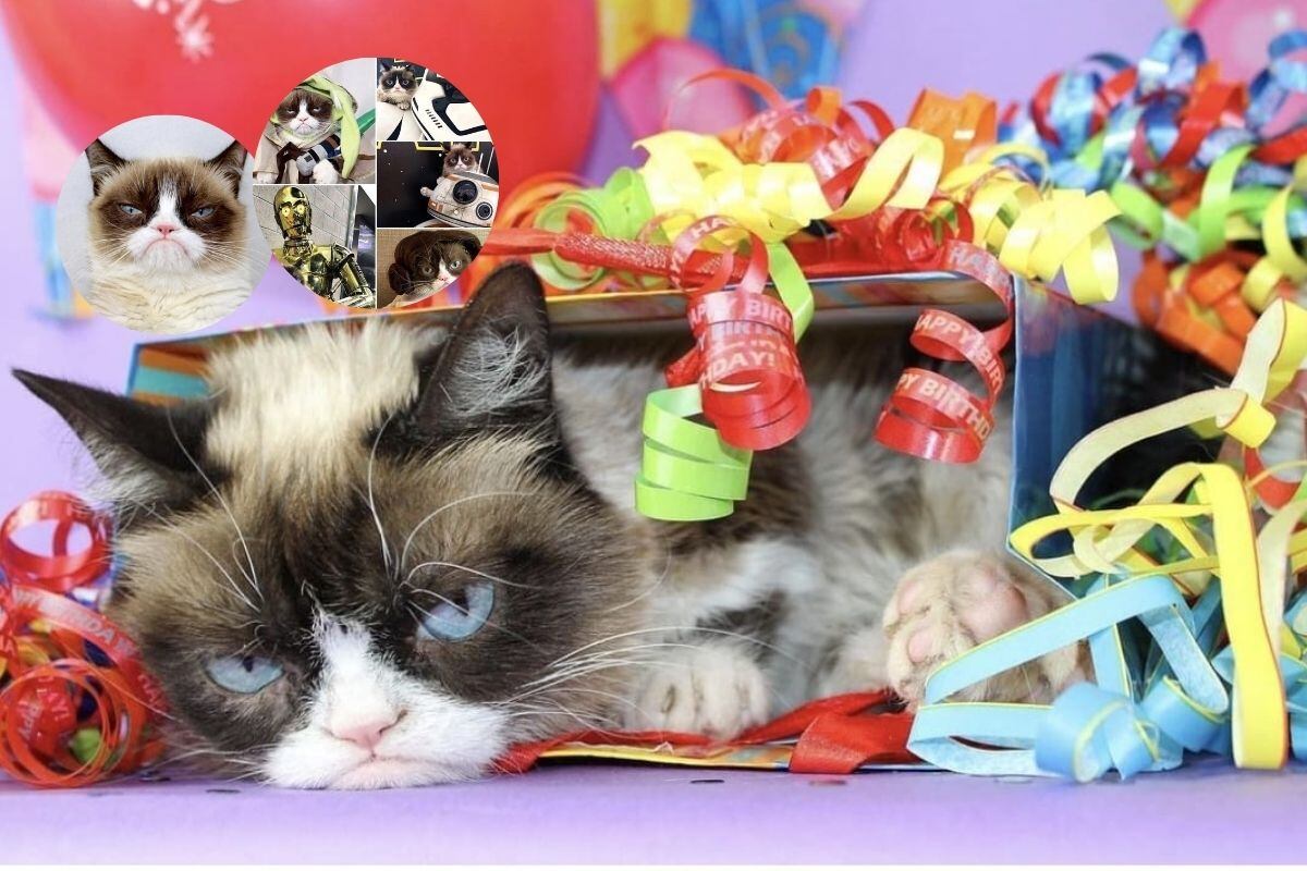 Su gesto de enfado llama la atención de sus seguidores.