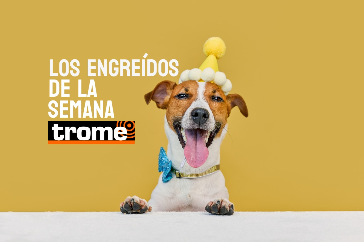 Engreídos Trome. Foto: Istock