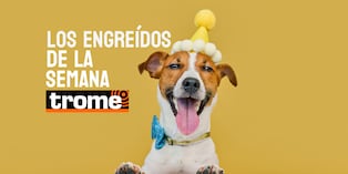 Engreídos Trome. Foto: Istock