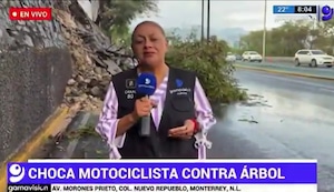 Reportera y camarógrafo fueron atropellados EN VIVO durante transmisión televisiva | VIDEO