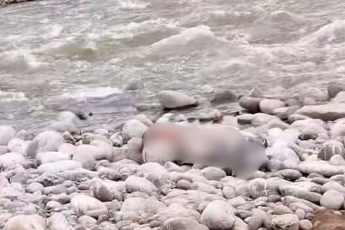 Gran conmoción por hallazgo de hombre sin vida en el Río Rímac. (Foto: El Gorgojito Oficial)