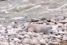 Ate Vitarte: Encuentran cadáver en la orilla del río Rímac cerca a la autopista Ramiro Prialé