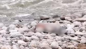 Ate Vitarte: Encuentran cadáver en la orilla del río Rímac cerca a la autopista Ramiro Prialé