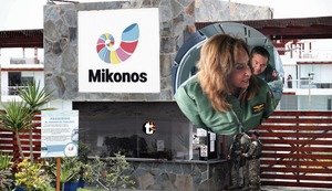 Representante de Condominio Mikonos señala que no vio ingresar a Dina Boluarte: “Habrá entrado en la maletera”