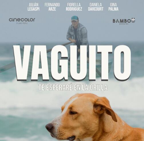 Jorge Chamorro analiza el caso de la película 'Vaguito'
