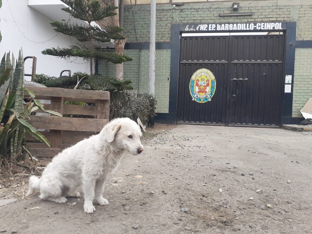 Volquete se estrella contra el penal de Barbadillo. (fotos: Mónica Rochabrum/Trome)
