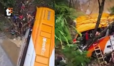 Bus interprovincial se despista y cae a barranco en San Martín: pobladores se organizan y rescatan a heridos