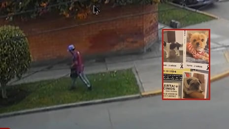 Cámaras captan a hombre que habría envenenado a varias mascotas en San Isidro